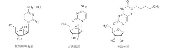 执业药师备考考点：抗代谢药物2