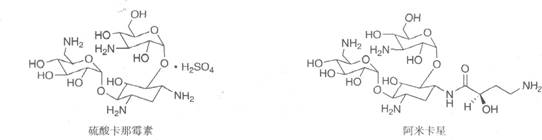 执业药师备考考点：氨基糖苷类抗生素1