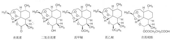 执业药师备考考点：抗疟药3