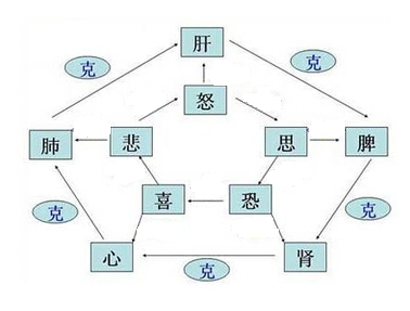 《中药学综合知识》知识点：七情内伤致病1