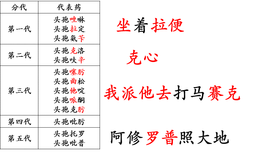 《药学专业知识二》高频考点：头孢菌素类考点汇总2