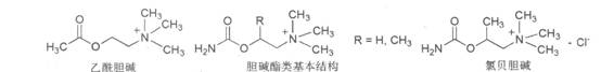 执业药师备考考点：药物化学胆碱受体激动剂2