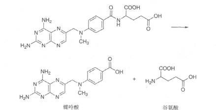 执业药师备考考点：抗代谢药物5