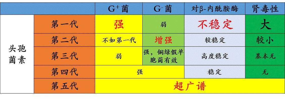 《药学专业知识二》高频考点：头孢菌素类考点汇总1