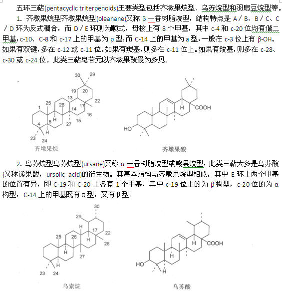 中药化学高频考点之三萜皂苷