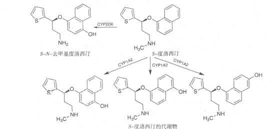 执业药师备考考点：抗抑郁症药4