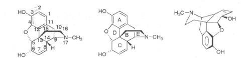 执业药师备考考点：药物化学 镇痛药1