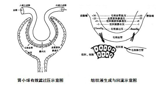 医疗卫生招聘考试—备战第二步：了解知识怎么学1