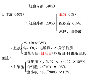 医疗招聘考试：生理学之血液系统考点总结1