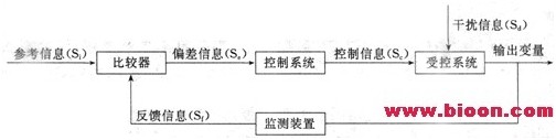 医疗卫生招聘考试医学基础知识重要考点：反馈控制系统-生理学1