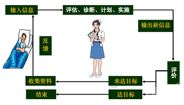 医疗卫生招聘考试：系统理论重点及真题2