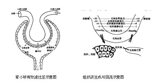 事业单位怎么学1
