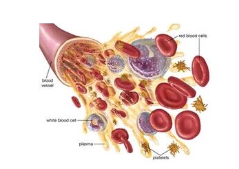 普通外科考研辅导：周围血管和淋巴管疾病1