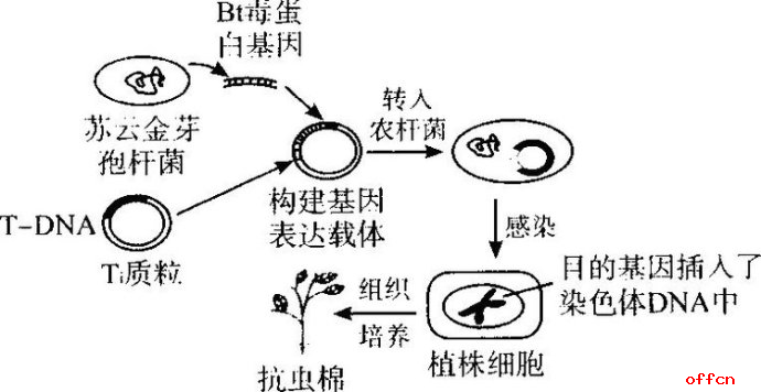 三支一扶考试内容-公基：科技知识考点倾向性归纳分析1