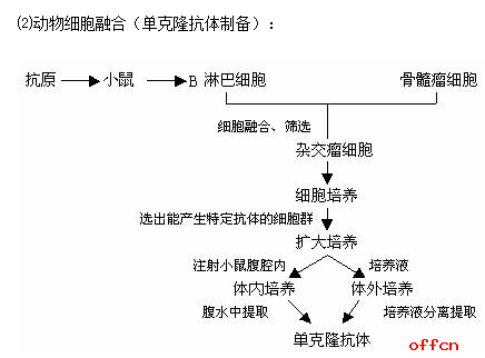 三支一扶考试内容-公基:科技知识考点倾向性归纳分析2